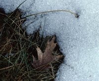 000801_0402_0035_tsls.jpg