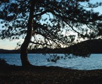 000801_0402_0027_tsls.jpg
