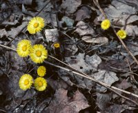 000801_0402_0006_tsls.jpg