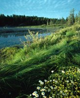 000801_0402_0003_tsls.jpg