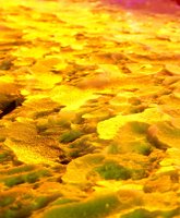 000801_0371_0046_tsls.jpg