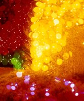 000801_0371_0044_tsls.jpg