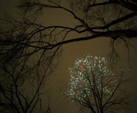 000801_0371_0019_tsls.jpg