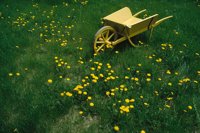 000801_0357_0206_tsls.jpg