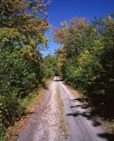 000801_0336_0980_tsls.jpg
