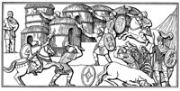 78054.jpg