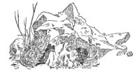 777625.jpg