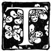 770079.jpg