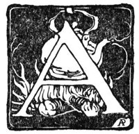 770049.jpg