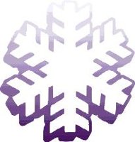 715500.jpg