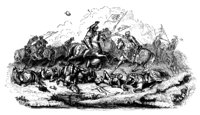 693145.jpg