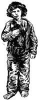 377161.jpg