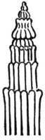 370795.jpg
