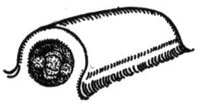 370761.jpg