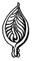 370747.jpg