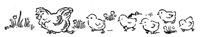 357331.jpg