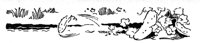 356833.jpg