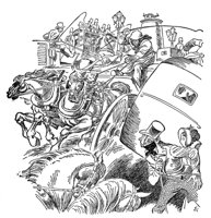 347339.jpg