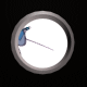 PORT4~50.GIF