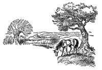 347195.jpg