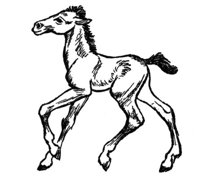 347193.jpg