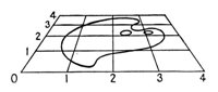 329669.jpg