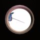 PORT47_2.GIF