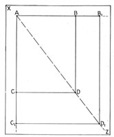 329633.jpg