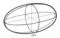 329251.jpg