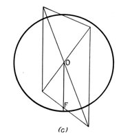 329245.jpg