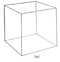 329237.jpg