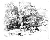 27158.jpg