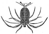 228424.jpg