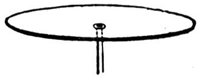 228402.jpg