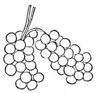 228370.jpg