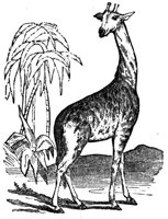 228346.jpg