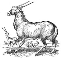 228256.jpg