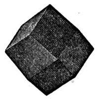 228176.jpg