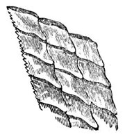 228156.jpg