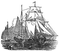 228084.jpg