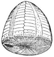 228056.jpg