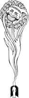 ADS081I.TIF