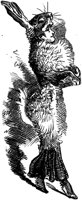 HVS023F.TIF