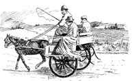 HVS100E.TIF