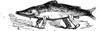 HVS111D.TIF
