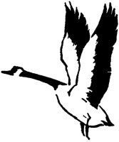 LAC017I.TIF