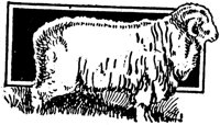 LAC014H.TIF
