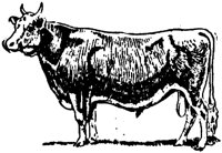 LAC010G.TIF