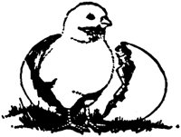 LAC008G.TIF