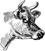 LAC006L.TIF